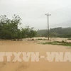 La tempête Son Tinh cause de lourds dégâts dans les provinces du Nord et de la partie Nord du Centre