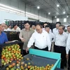 Le PM visite un modèle de production agricole de haute technologie à Lâm Dông 