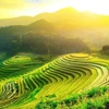 Sur la route des rizières en terrasses à valeur patrimoniale