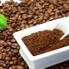L'UE, premier marché à l'export du café vietnamien
