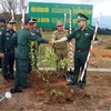 Plantation d’arbres au carrefour des frontières Vietnam - Laos - Cambodge