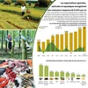 [Infographie] Les exportations agricoles enregistrent une croissance moyenne de 9,24% par an