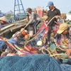 L'avertissement ‘’carte jaune’’ affecte l'exportation de fruits de mer vietnamiens vers l'UE