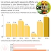 [Infographie] Le secteur agro-sylvi-aquacole affiche une croissance la plus élevée depuis 7 ans