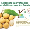 Le longane frais vietnamien est officiellement exporté en Australie