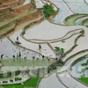 Yên Bai : Bientôt les activités touristiques de la Saison d’eau 2020
