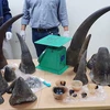 Hanoi : Un transporteur de cornes de rhinocéros condamné à 5 ans de prison