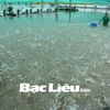 Bac Liêu compte porter à 60.000 ha le modèle de pénéiculture en association avec le riz 