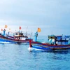 Pêche INN: Kiên Giang renforce les sanctions contre les bateaux coupables d'infractions