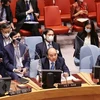 Le Vietnam apporte de nombreuses contributions précieuses au Conseil de sécurité de l’ONU