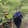 S’efforcer de retrouver les osssements des soldats volontaires tombés au Cambodge