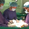 Environ 6 500 greffes d'organes réalisées dans tout le pays en 30 ans