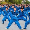 La Coupe d’ambassadeurs de vovinam a fière allure en Algérie