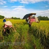 Le secteur agricole affiche un excédent commercial de 7,28 milliards de dollars 