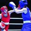 La boxeuse Nguyên Thi Tâm : d’une famille pauvre au ring mondial