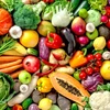 Les exportations de fruits et légumes devraient atteindre 4 mds de dollars en 2023