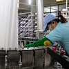 Kiên Giang vise la valeur de production industrielle de plus de 900 millions de dollars