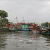 Renforcement de la sensibilisation à la lutte contre la pêche INN à Tiên Giang