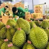 Les exportations des fruits et légumes vers la Chine en constante augmentation 