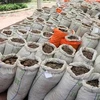 Singapour saisit près de 13 tonnes d'écailles de pangolin