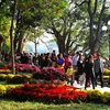 Hanoï : Augmentation du nombre de touristes durant le Têt traditionel