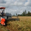 De nombreux contrats d'exportation de riz ont été signés