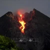 L'Indonésie interdit les activités autour du volcan Merapi