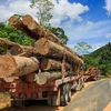 La Malaisie s'attaque à l'exploitation forestière et minière illégale et à la contrebande