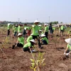 Organisation du programme « I Green We Green Vietnam » à Nam Dinh