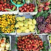 Festival des produits agricoles et villages de métiers de Hanoï prévu en décembre