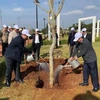 Lancement de la fête de plantation d’arbres dans différentes localités