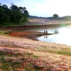 Le lac Dankia deviendra un haut lieu touristique du Tay Nguyen