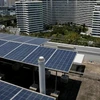 Singapour envisage d'augmenter sa production d'énergie solaire