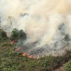 Les incendies de forêt compliquent le combat contre le COVID-19 en Indonésie