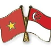 Singapour - Vietnam: des partenaires importants dans une période difficile
