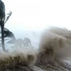 Télégramme officiel du gouvernement sur la lutte contre la tempête Sinlaku 