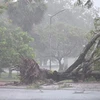 La tempête Noul provoque de lourdes dégâts dans des provinces du Centre 