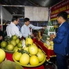 Ouverture de la Semaine des oranges de Cao Phong 2020