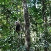 Trois animaux sauvages relâchés dans le Parc national de Bu Gia Map
