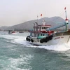Le Vietnam est déterminé à faire retirer le « carton jaune » sur la pêche INN