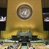 ONU : le Vietnam condamne les actes d'instabilité politique en Haïti