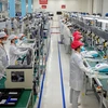 Promouvoir la coopération scientifique et technologique entre le Vietnam et l'Allemagne