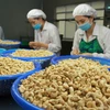 La filière vietnamienne de la noix de cajou devrait croître en 2022