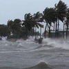 Le Vietnam attendrait environ six tempêtes au deuxième semestre