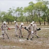 Quang Tri : déminage de plus de 275 millions de m2 de terres contaminées par des bombes et mines
