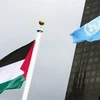 Message de félicitations pour la Journée internationale de solidarité avec le peuple palestinien