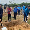 Les provinces vietnamiennes célèbrent la tradition de plantation d’arbres