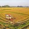 Hanoï s'efforce de porter le revenu annuel moyen des agriculteurs à 70 millions de dôngs 