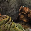 La grotte de Son Doong séduit à la fois les touristes et les scientifiques