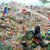 Surveillance des déchets marins et de la pollution plastique dans les zones côtières